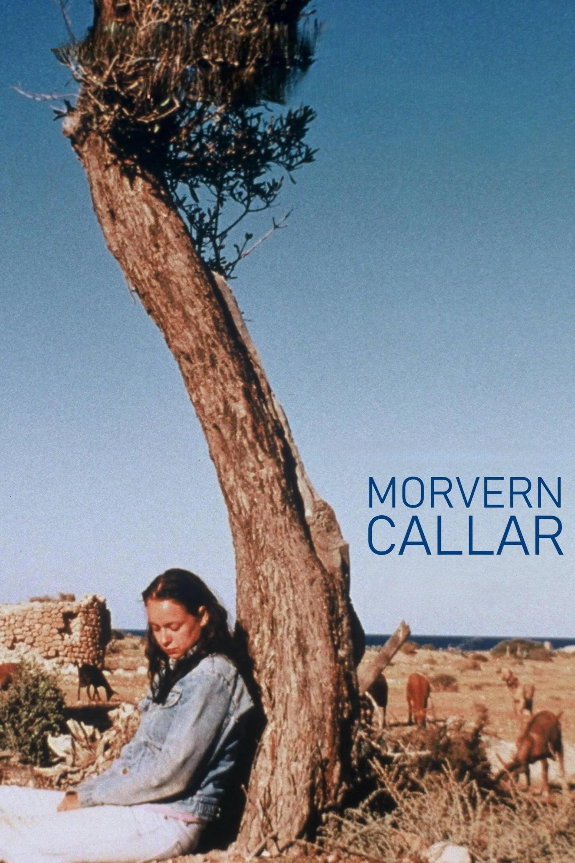 Постер Morvern Callar